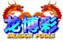 DRAGON4D